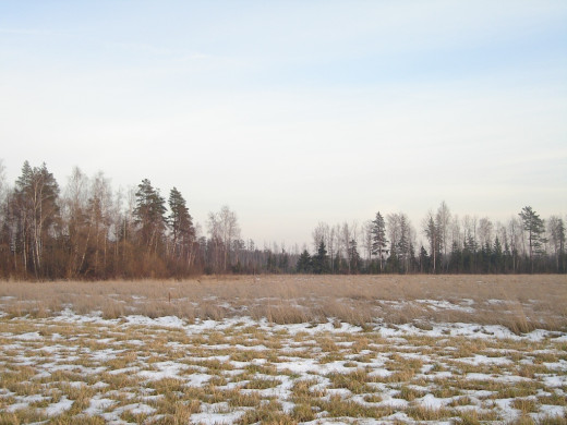 23464 (a): :1024x768
